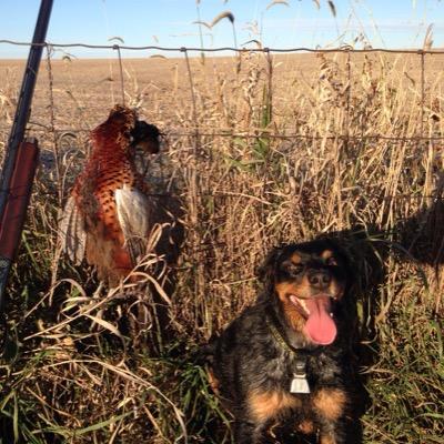 Married with 3 children. University of Iowa grad. Believes in God and Constitution...and the Hawkeyes. #DeSantis2024 #DumpTrump