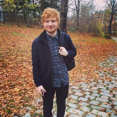 I saw Ed in concert / exchange student in Maine, USA