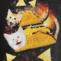 I'm just an average taco, that loves burritos, so you just need to learn how to accept my life choices
