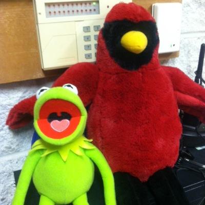 pgatzke76's profile picture. 