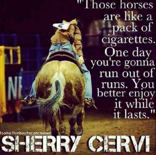 All Things Barrel Racing. #GetWithTheGrit #GritGrindWork IG:https://t.co/znkgcv2pjD gritgrindwork@gmail.com