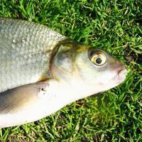 evgen sta (@evgen_sta) 's Twitter Profile