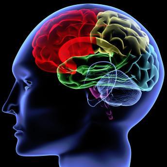 Daily tweets and info about the mind and behavior. email: psychologyfacts@hotmail.com