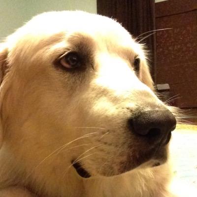 kevindeschaaf's profile picture. 