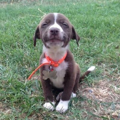 twmnrhollaa's profile picture. Obsessions: TW, MNR, Tyler Vine, Jake Miller, ATL, PTV, SWS, OM&M, BVB, FOB, & SPN. Max Schneider saved my life. 9/19/13; 7/2/14