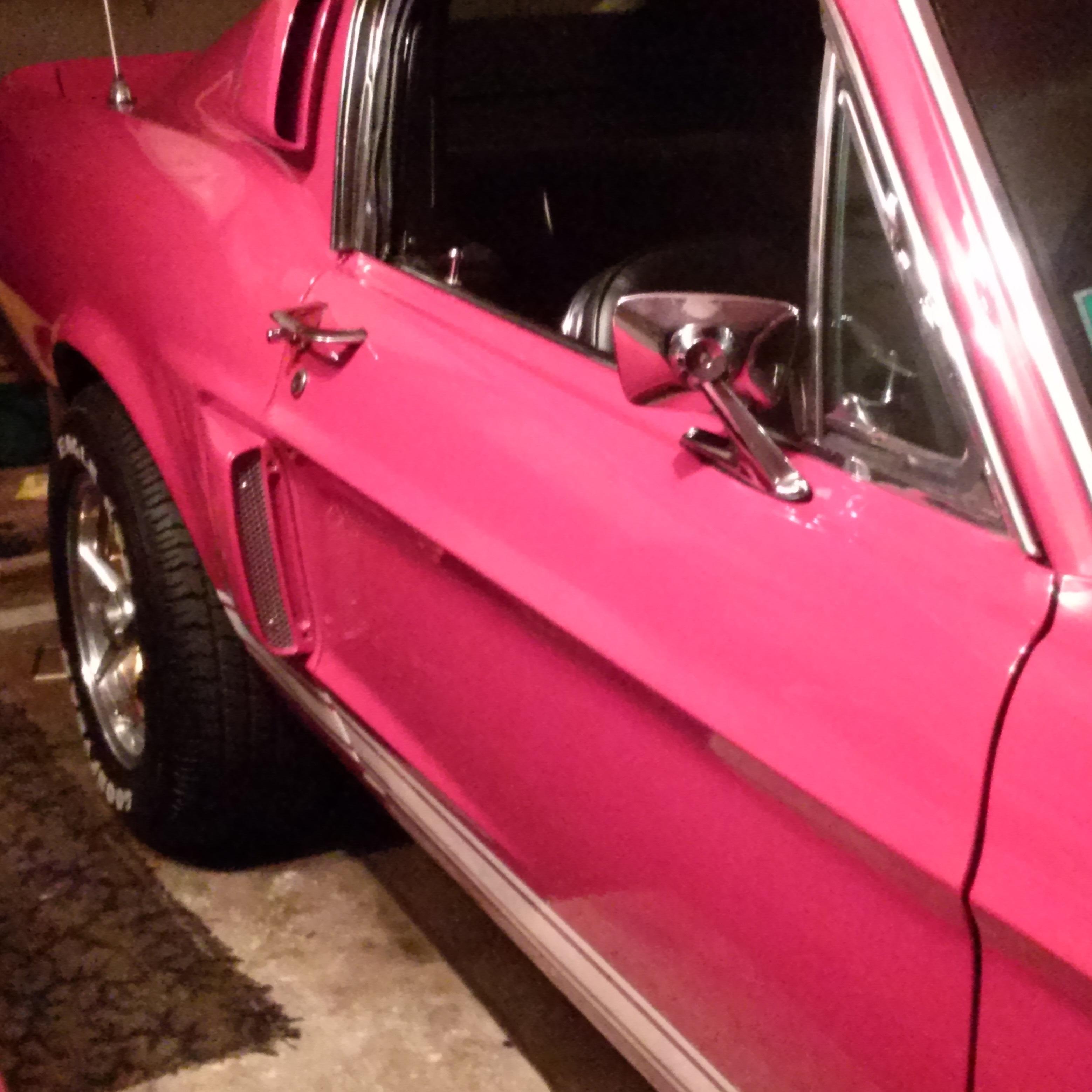 MuscleTimes's profile picture. 