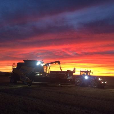 Farmer, Gopher, jack of all trades & BB, Mother of 2 kids sometimes 3! love the farming life !