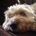 Janet Eves - @anetjeves - Twitter