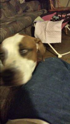 79chevypower's profile picture. 27 nc