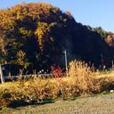 ばっしー (@0808All) Twitter