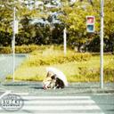 景山 信保 (@0310Kage) Twitter