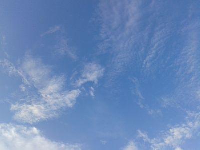 saikatnath1988's profile picture. 