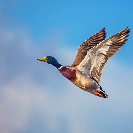 nareshmehra1989's profile picture. 