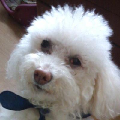 snoopyrox14's profile picture. Somos seres espírituales viviendo una experiencia humana. Disfrutar cada segundo es mi misión. Reir, ser y vivir en armonia con el todo es reconfortante.