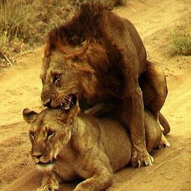 AykutBoztur's profile picture. 