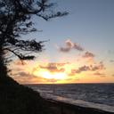 sandi byrd - @ByrdSandi - Twitter