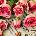 Mehak Rizvi - @RizviMehak1 - Twitter