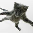 Sára Bartos - @SrbBartos - Twitter