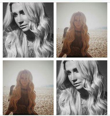 keshabday@gmail.com , Making really crazy things for @keshaRose , follow me if you are a true animal!! $ 01-03-1987 ♥ Animales de  ESPAÑA. Ke$ha followed me.