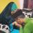 ShafieiAyub's profile image