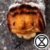Damon Howells (@damo7478) Twitter profile photo Damon Howells (@damo7478) Twitter profile photo