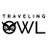 traveling_owl's profile image