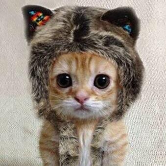 Twitter始めました（笑）