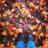 KellyHooper88's profile image