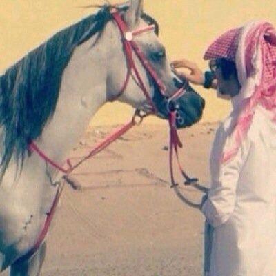 جاري الكتابة ...