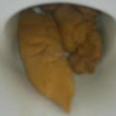 うんこまん Unkopk Twitter うんこまん Unkopk Twitter