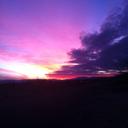 Tina Orr - @orrgoshawk2 - Twitter