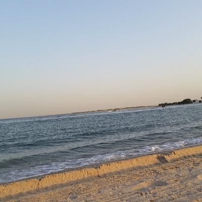 3boody123133's profile picture. 