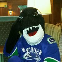 Bruce McManus (@hearthock) 's Twitter Profile