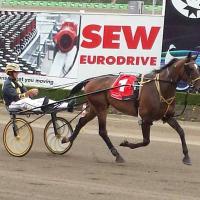 Darren Mccall (@djmstables1) 's Twitter Profile