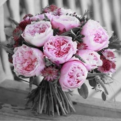 bellasbrideslbi's profile picture. A Full service salon & spa servicing the Long Beach area