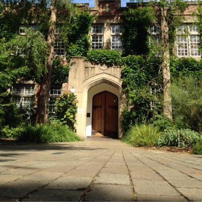 dcaodavid's profile picture. 