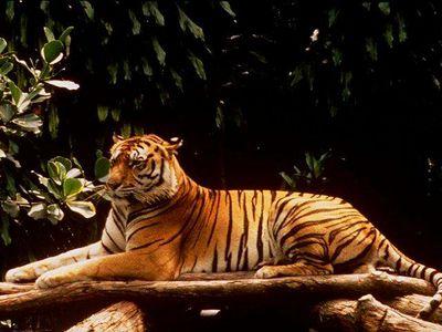 Dhanmondi,dhaka,bangladesh