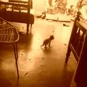 jose armando cerna - @jarmando6590 - Twitter