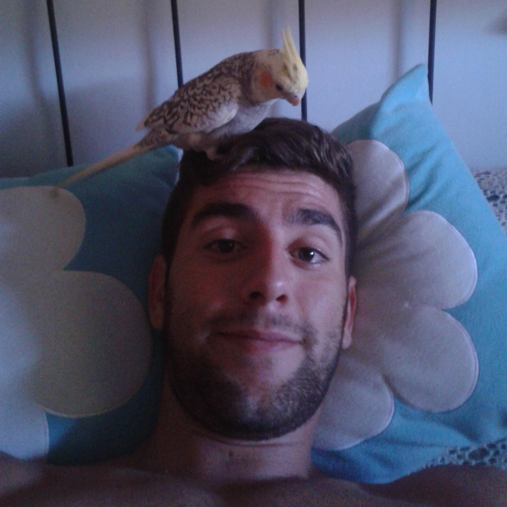 albilouzan's profile picture. 