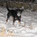 Sandra pinder - @PinderSandra - Twitter