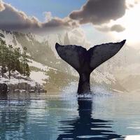 Oren Smith (@smith_oren) 's Twitter Profile