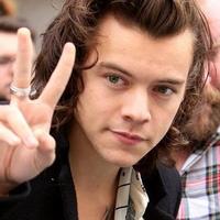 DONT FOLLOW READ BIO (@harry_cakehs) 's Twitter Profile