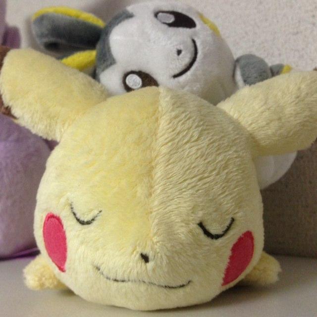 mizuki901's profile picture. Backend / Frontend Developer, Certified ScrumMaster