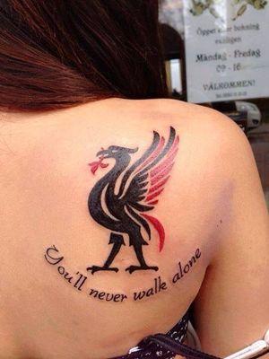 novemberlis's profile picture. you'll never walk alone