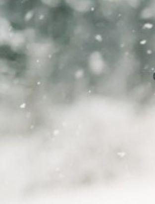 Wintersnow_bot's profile picture. 겨울에 대한 모든 것을 올리는 계정입니다. 사진과 시 트윗. 이미지나 시 등 제보 받습니다. '겨울' 이라면 다 좋아해요! 게시물에 문제가 있다면 멘션주세요 (｡･ω･)σ
성탄절. 캐롤. 하얀 눈. 눈사람. 순수함을 간직한 겨울.