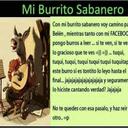 estrella galvan - @EstrallGalvan - Twitter