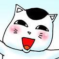 しらはまあきらさんのプロフィール画像