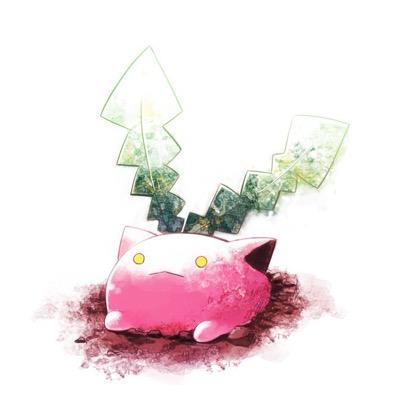 たんぽぽ大好き。