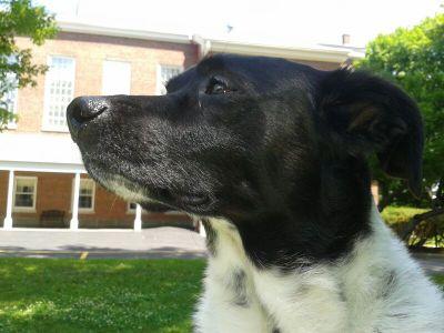 LKriete's profile picture. 