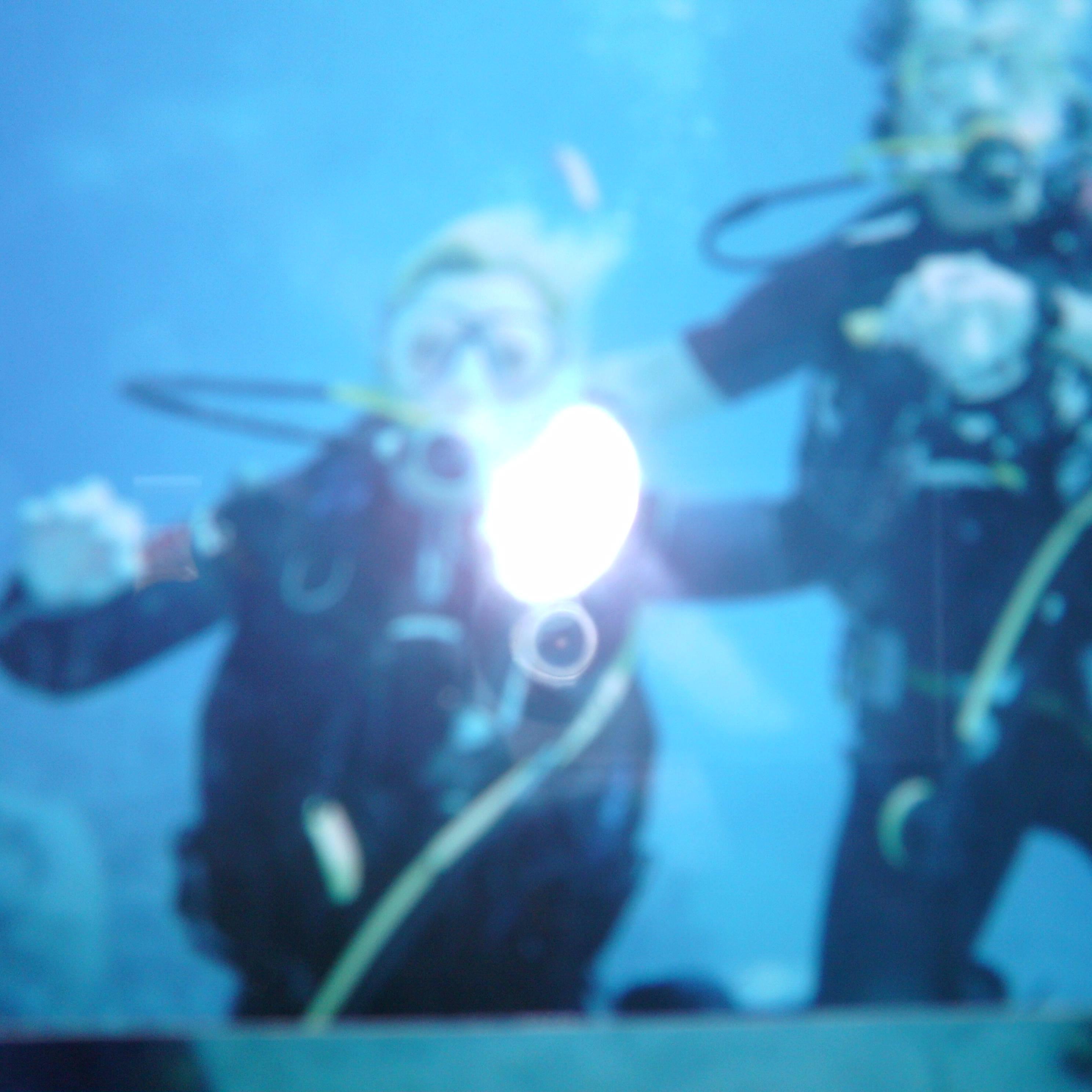 billythebiker61's profile picture. 